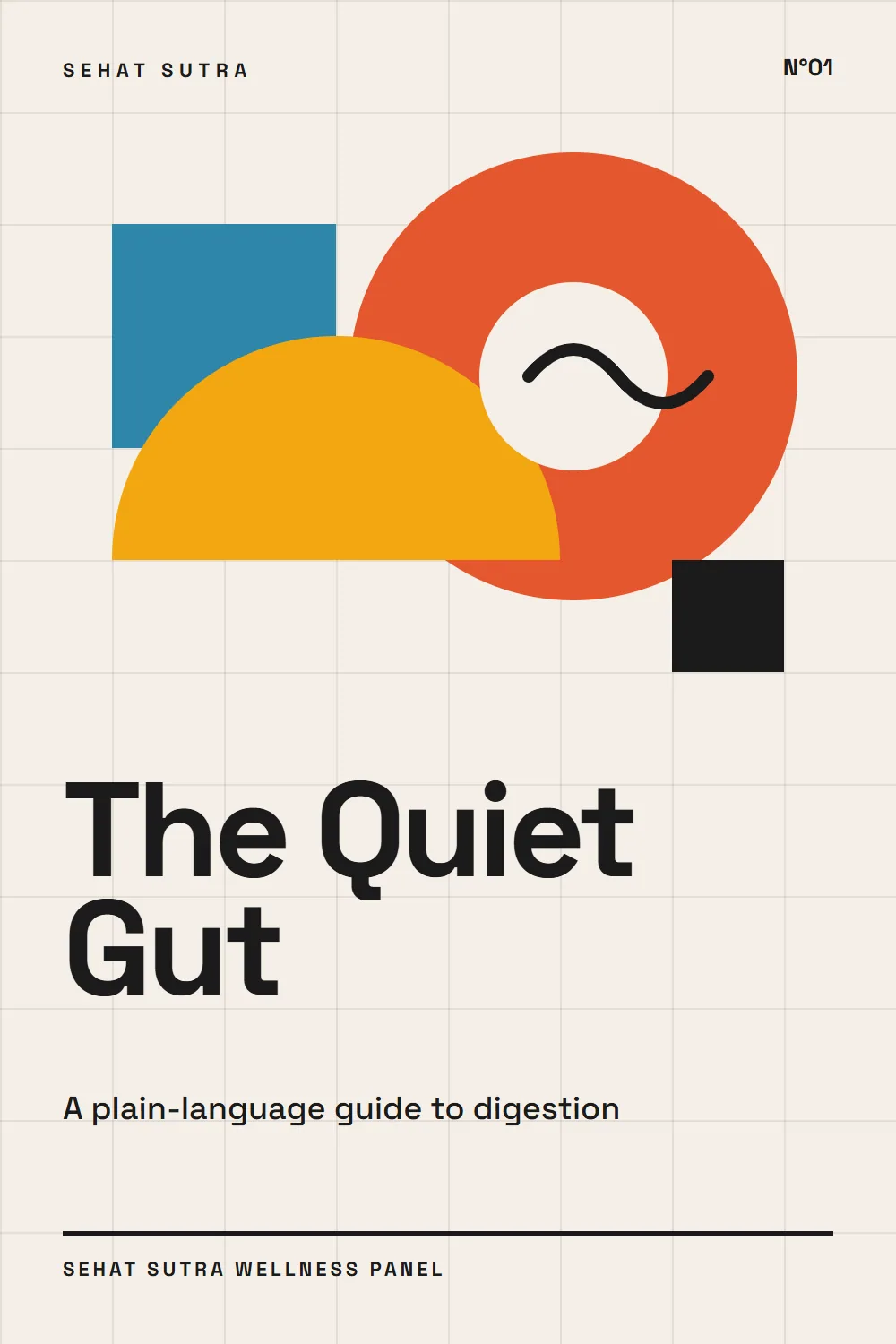 The Quiet Gut: A Plain-Language Guide to Digestion